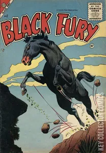 Black Fury #2