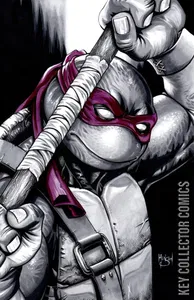 Teenage Mutant Ninja Turtles #132