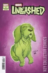 Variant Cover for Marvel Unleashed #4