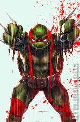 Variant Cover for Teenage Mutant Ninja Turtles #132