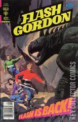 Cover for Flash Gordon #19