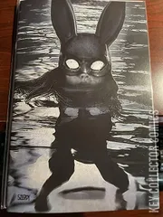 Cover for Bunny Mask #4