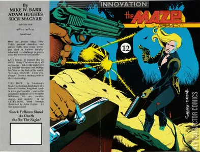 The Maze Agency #12