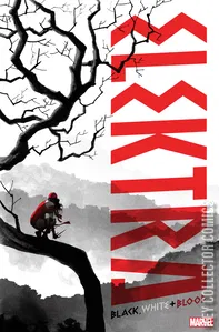 Elektra: Black, White & Blood #2