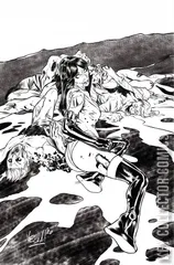 Variant Cover for Vampirella: The Dark Powers #3