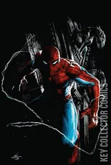 Variant Cover for Amazing Spider-Man #48