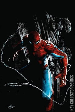 Variant Cover for Amazing Spider-Man #48