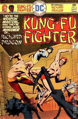 Richard Dragon's Kung-Fu Fighter