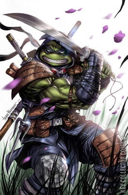 Teenage Mutant Ninja Turtles: The Last Ronin