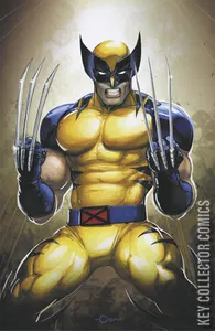 Wolverine #14