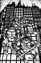 Cover for Teenage Mutant Ninja Turtles #20