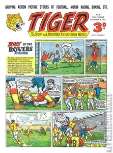 Tiger #9