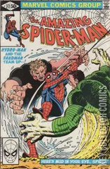 Cover for Amazing Spider-Man #217