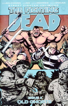 Variant Cover for Street Fighter Unlimited #3