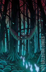 Variant Cover for Wynd: The Throne In The Sky #4