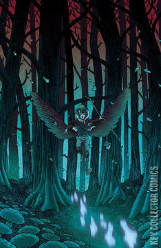 Variant Cover for Wynd: The Throne In The Sky #4