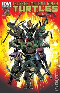 Teenage Mutant Ninja Turtles #19
