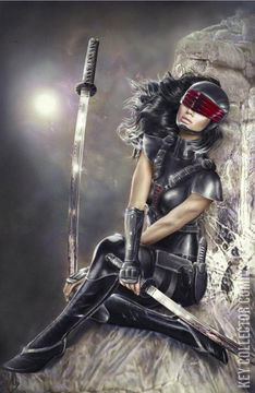 Variant Cover for G.I. Joe: A Real American Hero - Silent Option #1