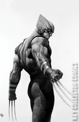 Variant Cover for Wolverine #3