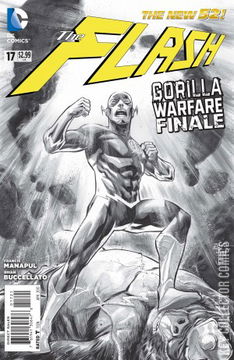 Variant Cover for Flash #17
