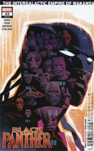 Black Panther #22