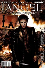Cover for Angel: After the Fall #9