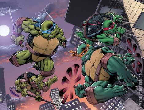 Variant Cover for Teenage Mutant Ninja Turtles #100