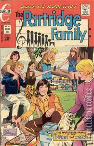 The Partridge Family #10