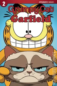Grumpy Cat / Garfield #2