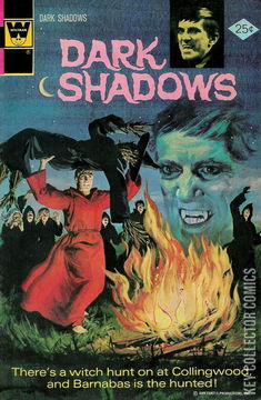 Variant Cover for Dark Shadows #30