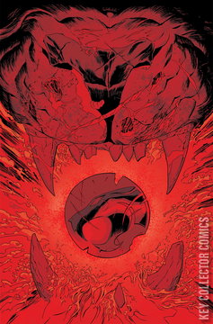 Variant Cover for Thundercats: Lost #8