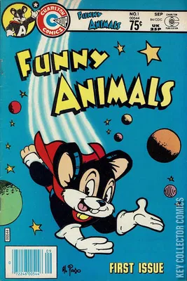 Funny Animals
