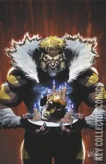 Variant Cover for Wolverine #42