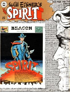 The Spirit #25