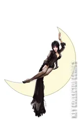 Cover for Elvira in Horrorland #3