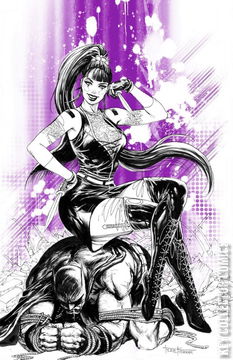 Variant Cover for Punchline #1