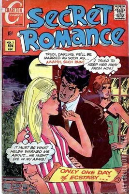 Secret Romance