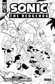 Variant Cover for Sonic the Hedgehog: Endless Summer