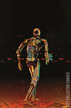 Variant Cover for Terminator: Metal, The #2