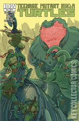 Variant Cover for Teenage Mutant Ninja Turtles #20