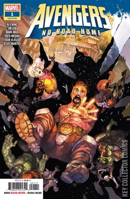 Avengers: No Road Home