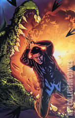 Variant Cover for Angel: After the Fall #11