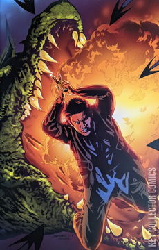 Variant Cover for Angel: After the Fall #11