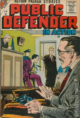 Public Defender in Action