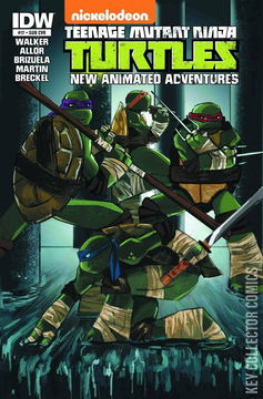 Variant Cover for Teenage Mutant Ninja Turtles: New Animated Adventures #17