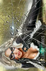 Variant Cover for Black Cat #1