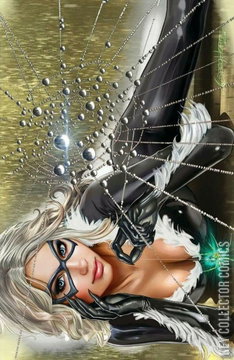 Variant Cover for Black Cat #1