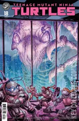 Cover for Teenage Mutant Ninja Turtles #18