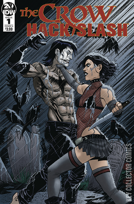 The Crow: Hack / Slash