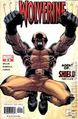 Cover for Wolverine #29
